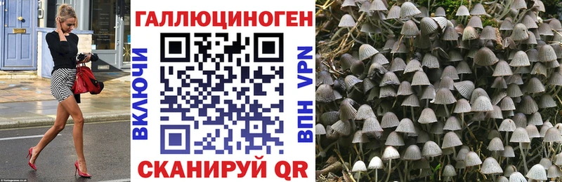 купить наркоту OMG как войти Галлюциногенные грибы GOLDEN TEACHER Аркадак